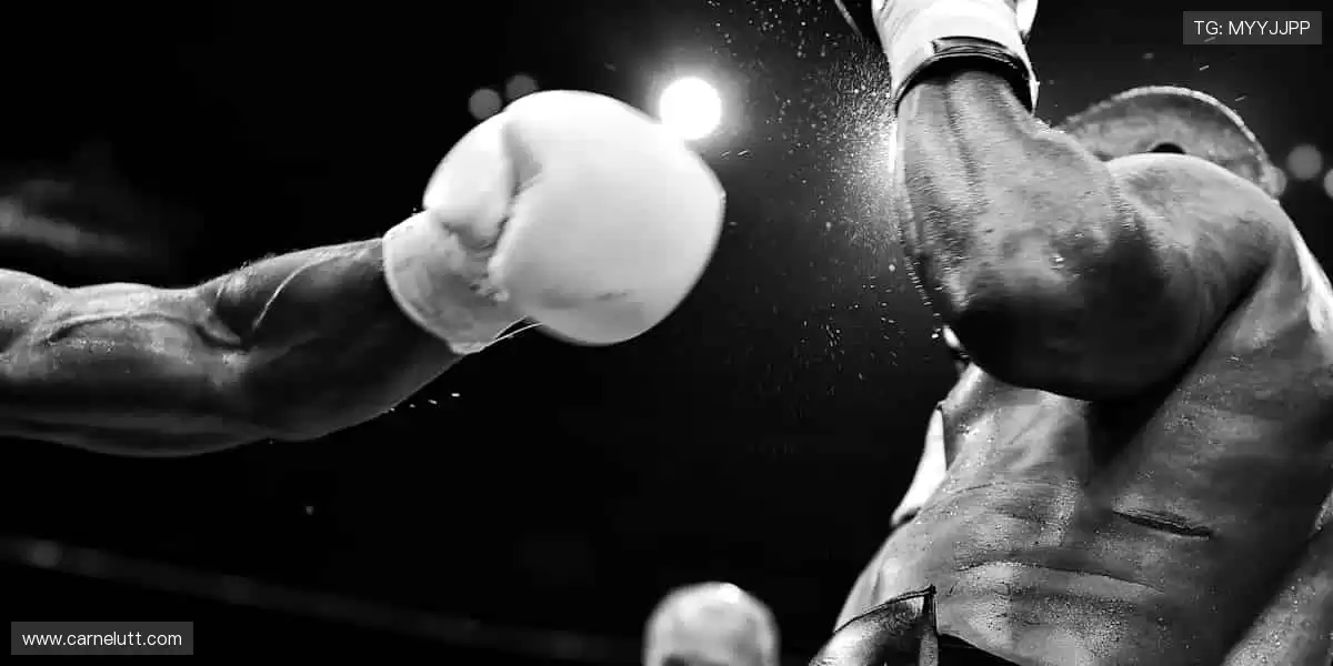 周边好物,粉丝专属!👕🎁 从球衣到纪念章,把热爱穿在身上!